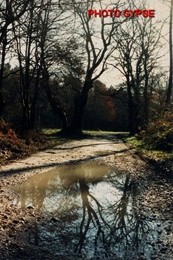 58