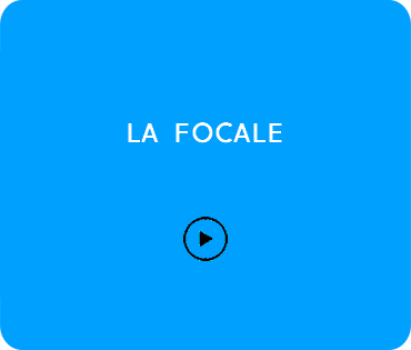 test fimora