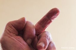 32
