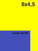 format 645