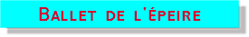 balet de l'épeire