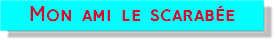 mon ami le scarabée