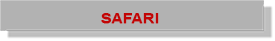 safari